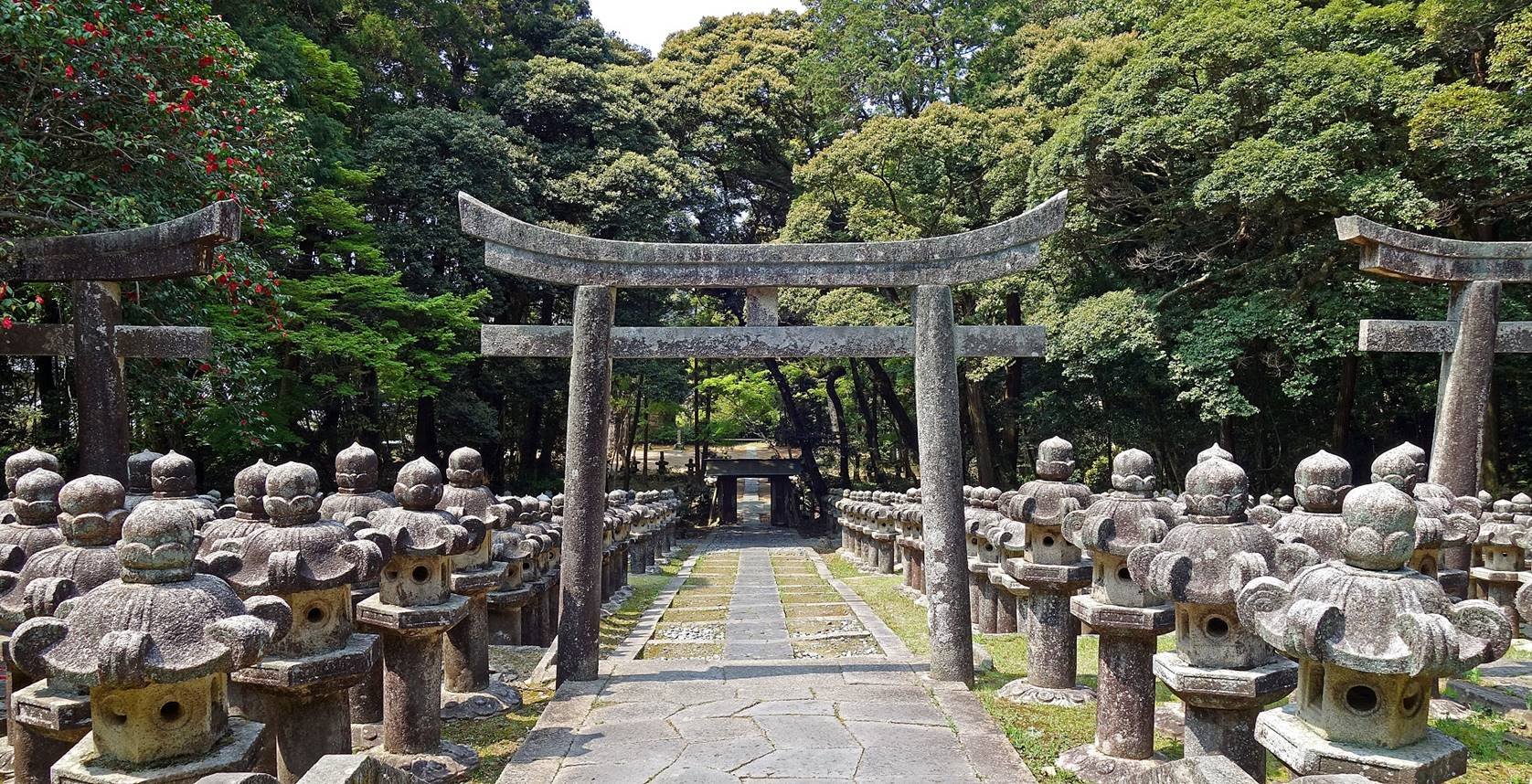 🌸 요센지 절(하기데라) 이미지 6